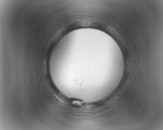 X0000064730497200603031645