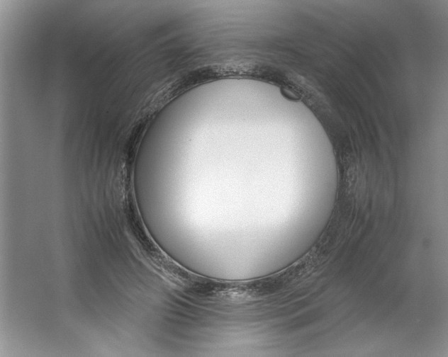 X0000064730498200603031645