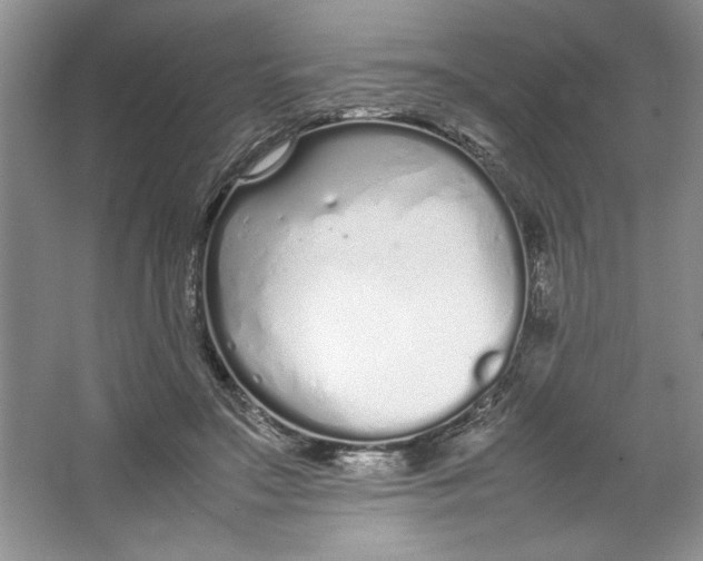 X0000064730499200603031645