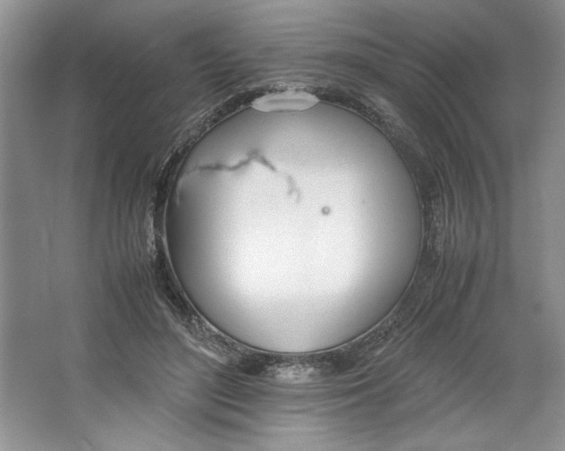 X0000064730500200603031645