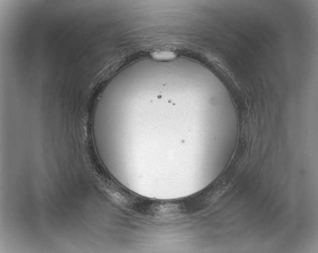 X0000064730501200603031645