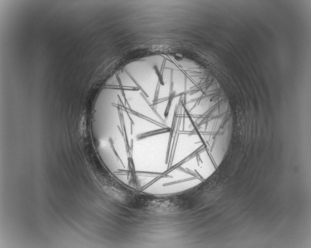 X0000064730502200603031645