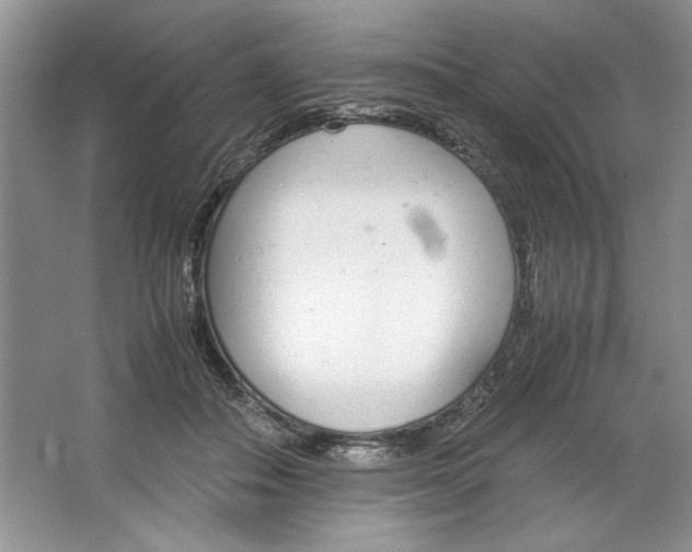 X0000064730506200603031645