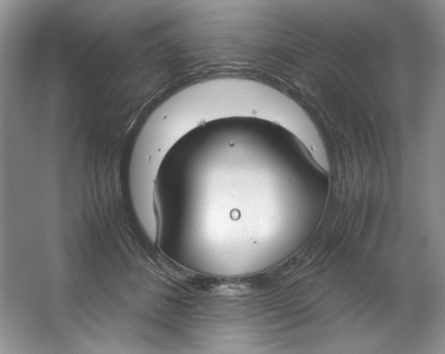 X0000064730508200603031645