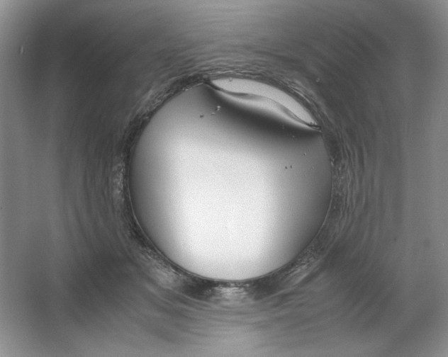 X0000064730509200603031645