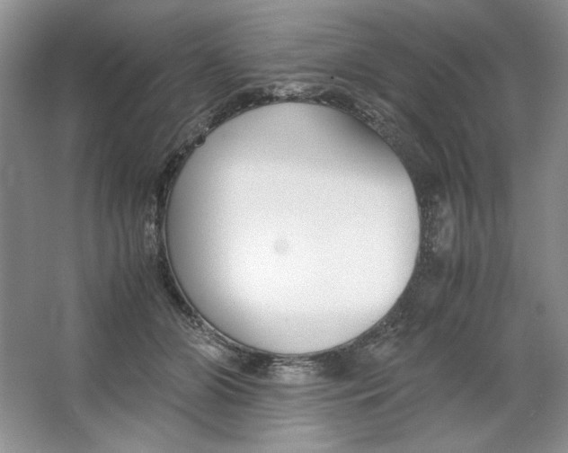 X0000064730510200603031645