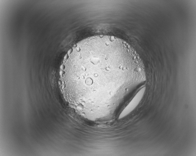 X0000064730511200603031645