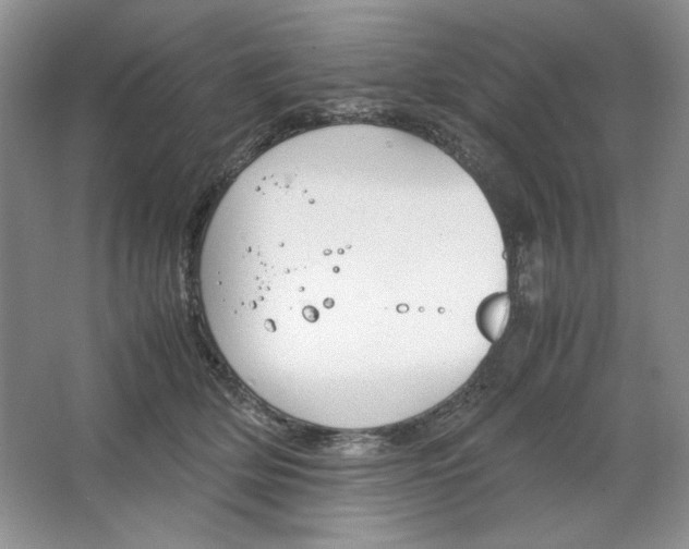 X0000064730514200603031645