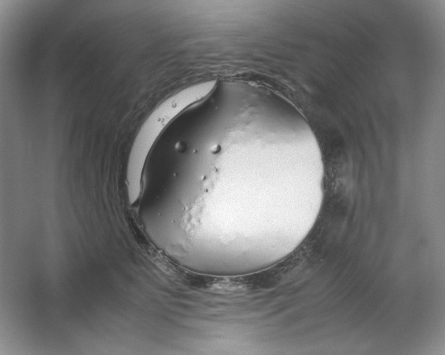 X0000064730515200603031645