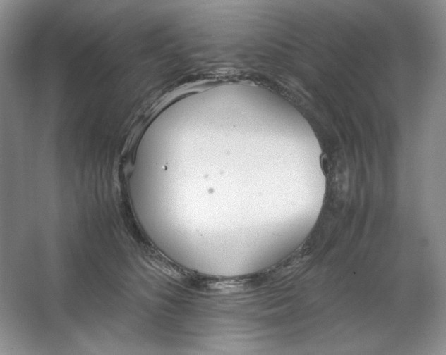 X0000064730516200603031645