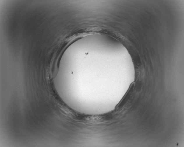 X0000064730517200603031645