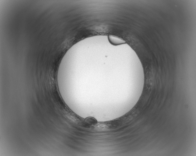 X0000064730518200603031645