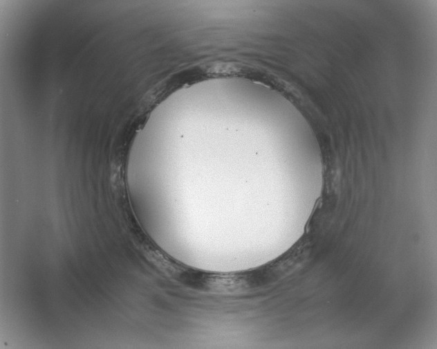 X0000064730521200603031645