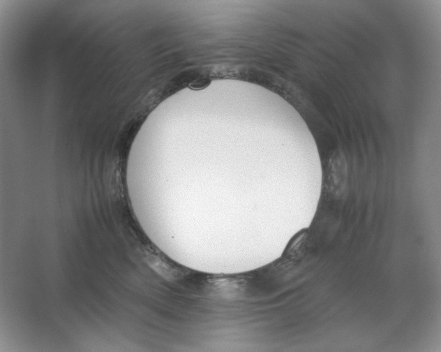 X0000064730522200603031645