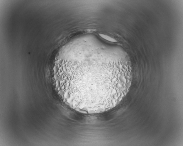 X0000064730523200603031645