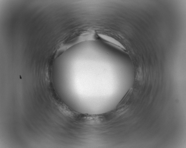 X0000064730524200603031645