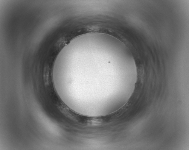 X0000064730525200603031645