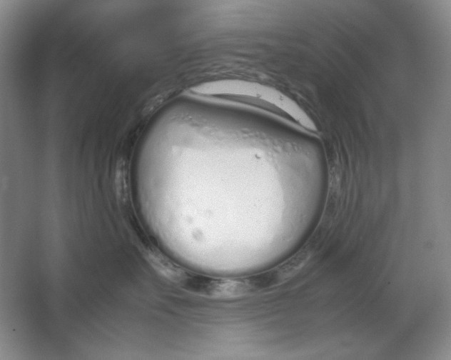 X0000064730527200603031645