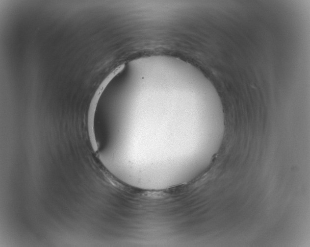 X0000064730528200603031645