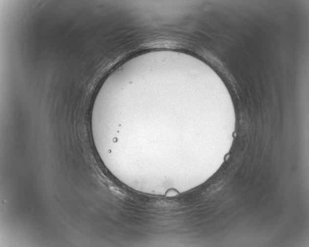 X0000064730529200603031644