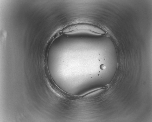 X0000064730530200603031644