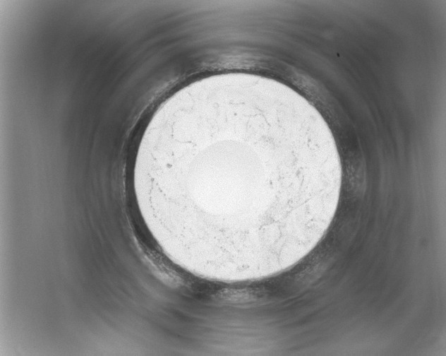 X0000064730534200603031644