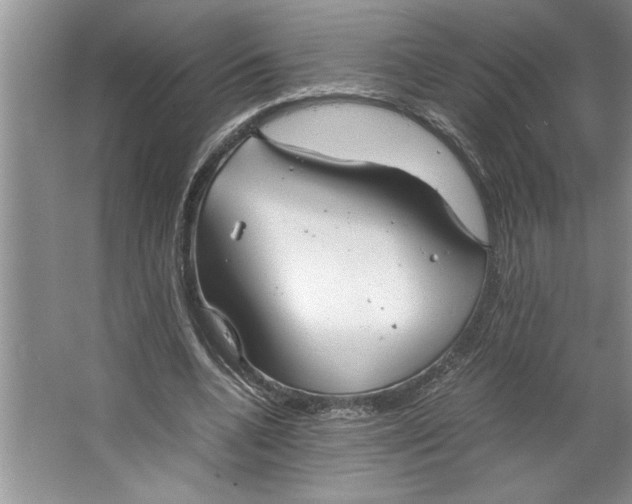 X0000064730536200603031644