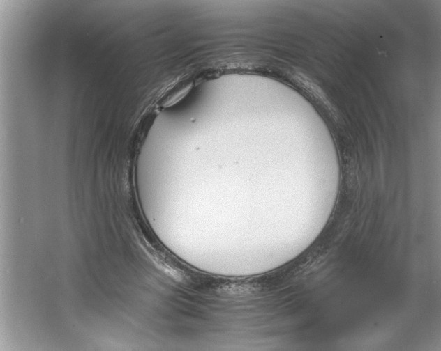 X0000064730537200603031644