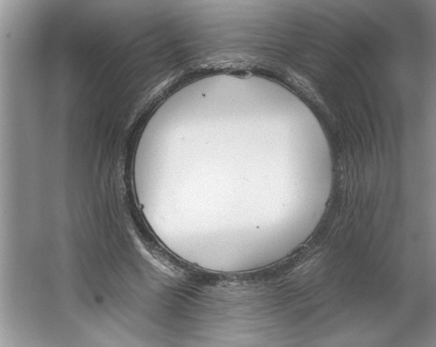 X0000064730538200603031644