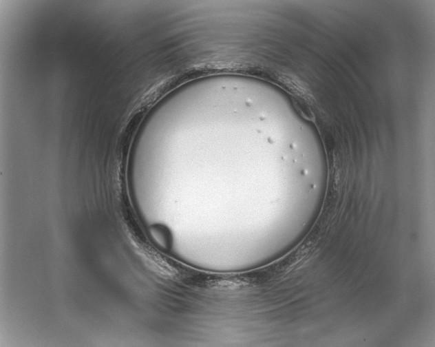 X0000064730542200603031644