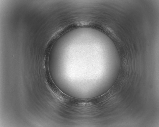 X0000064730543200603031644