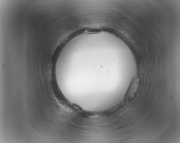 X0000064730544200603031644