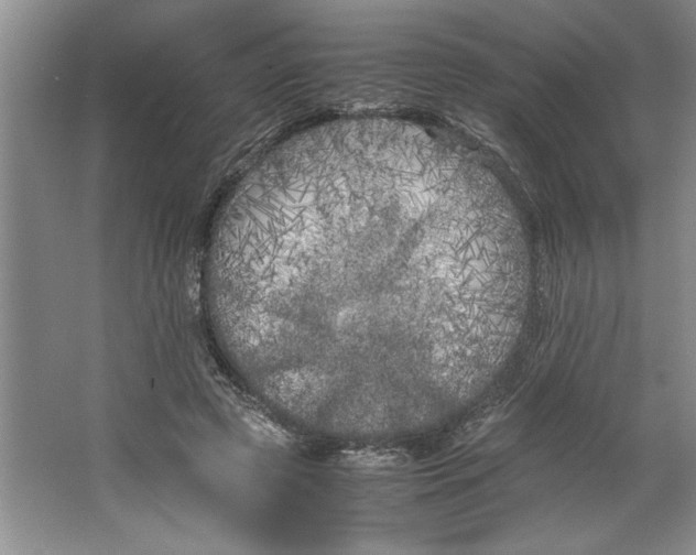 X0000064730545200603031644