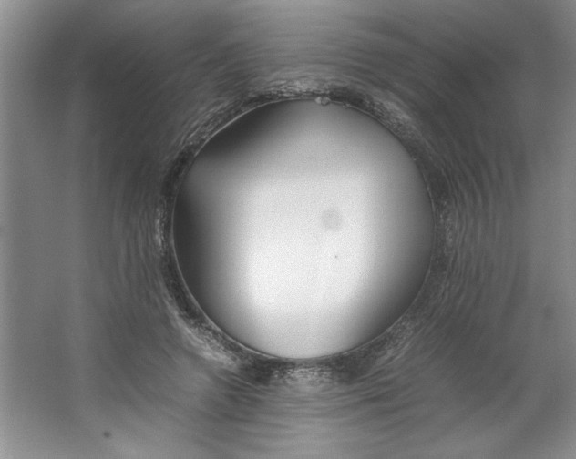 X0000064730546200603031644