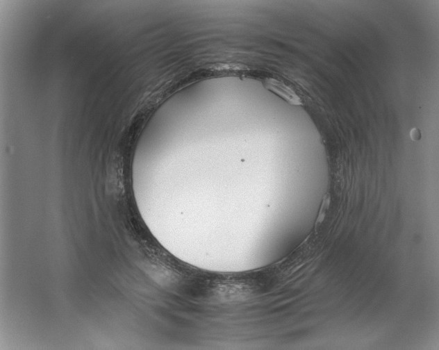 X0000064730547200603031644