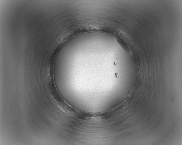 X0000064730548200603031644