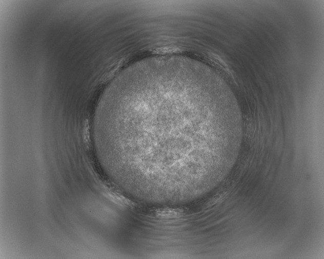 X0000064730549200603031644