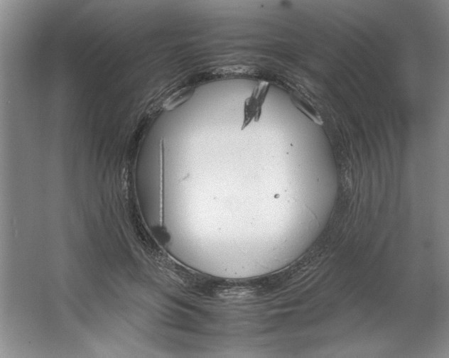 X0000064730551200603031644