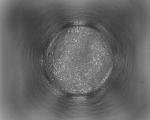 X0000064730553200603031644