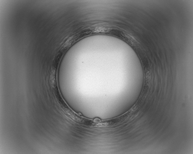 X0000064730554200603031644