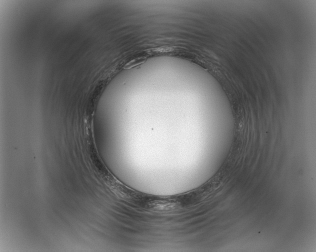 X0000064730555200603031644