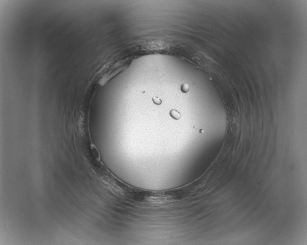 X0000064730556200603031644