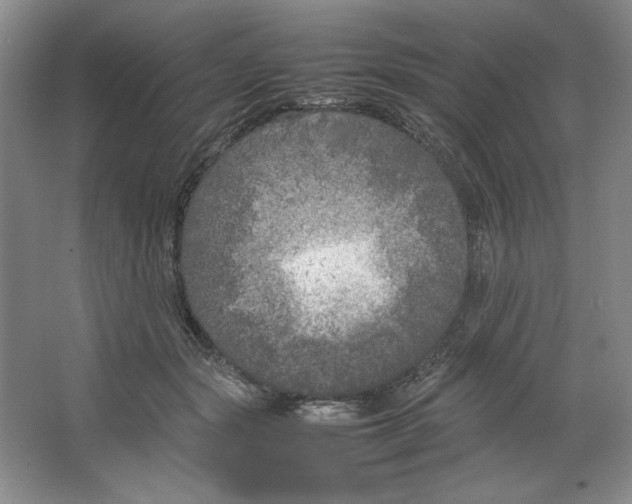 X0000064730557200603031644