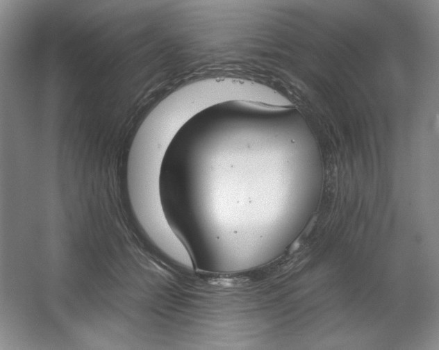 X0000064730558200603031644