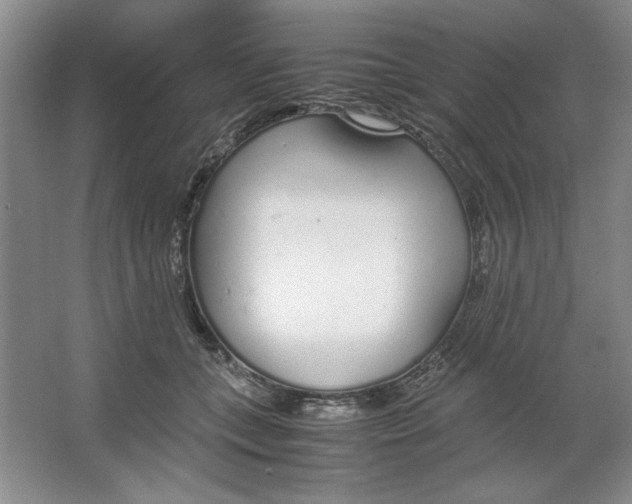 X0000064730559200603031644