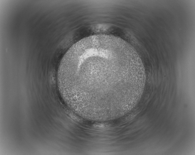 X0000064730561200603031644