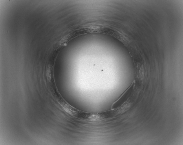 X0000064730562200603031644