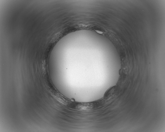 X0000064730563200603031644