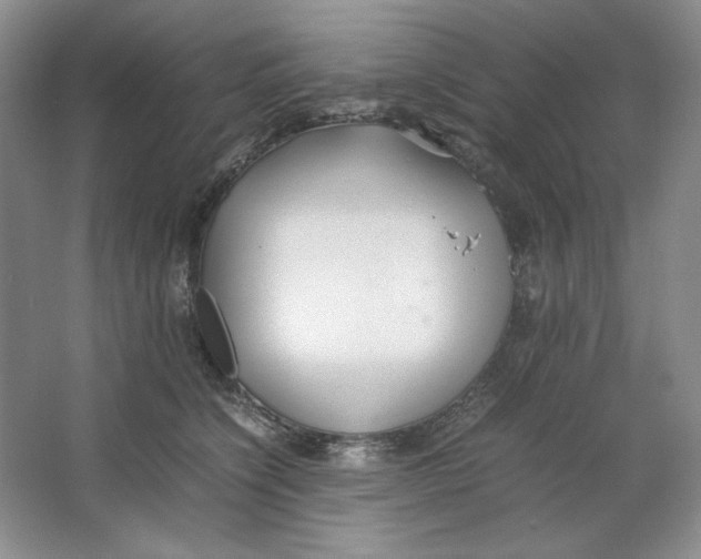 X0000064730564200603031644