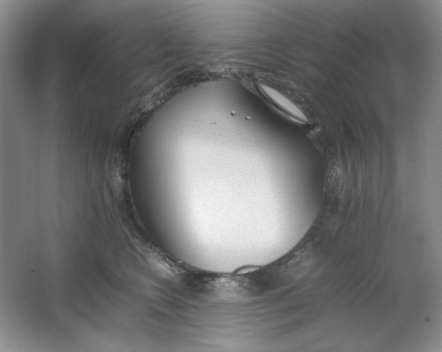 X0000064730566200603031644